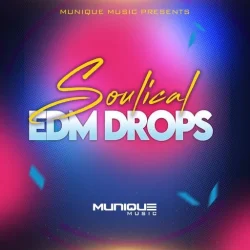 Innovative Samples Soulical Edm Drops WAV