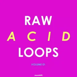 Symphonic Distribution RAW Acid Loops Vol. 01 WAV