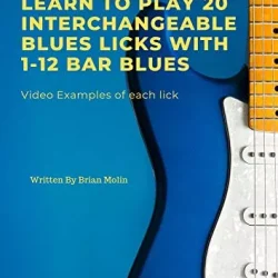 Learn To Play 20 Interchangeable Blues Licks With 1- 12 Bar Blues: Beginner to Intermediate Levels PDF