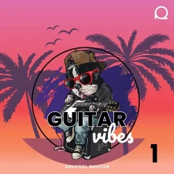 Roundel Sounds Guitar Vibes Vol.1 WAV MIDI