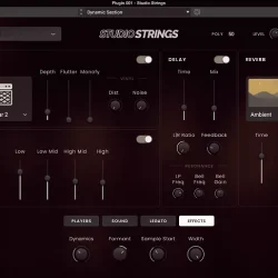 AIR Music Technology Studio Strings