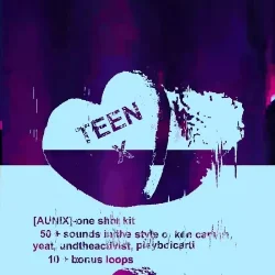 Aunix Teen x One Shot Kit WAV