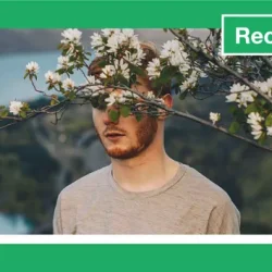 Chops & Chords with Manatee Commune TUTORIAL