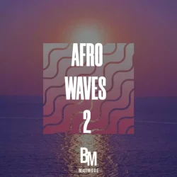 HOOKSHOW Afro Waves 2 WAV