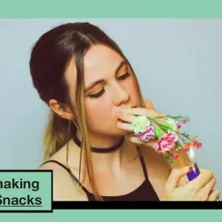 Lofi Beatmaking with Bad Snacks TUTORIAL