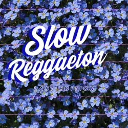 Midilatino Slow Reggaeton Vol.2 WAV