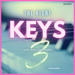 Strategic Audio The Right Keys 3: Soulful Electric Piano Melodies WAV