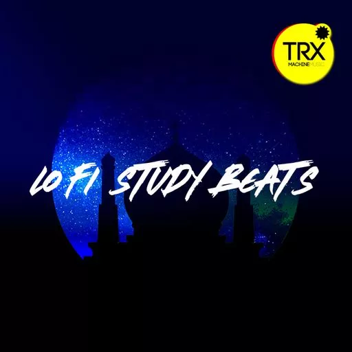 TRX Machinemusic Lofi Study Beats WAV