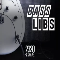 Tim TLee Waites BASS LIBS WAV