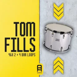 Ultimate Loops O&A TOM FILLS WAV