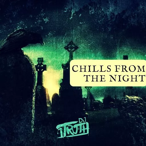 DJ 1Truth Chills From The Night WAV