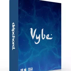 Dripchord Vybe [WAV MIDI]