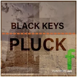 Flintpope BLACK KEYS PLUCK WAV