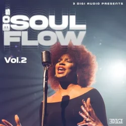 Innovative Samples 80's Soul Flow Vol.4 WAV