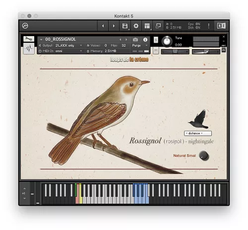 Loops De La Creme Songbird Virtuoso [KONTAKT]