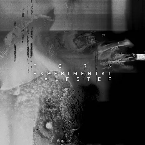 Torn Experimental Halfstep (Sample Pack) [WAV]