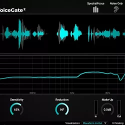 Accentize VoiceGate