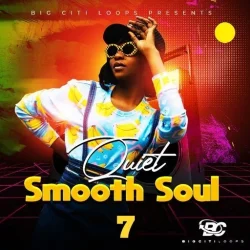 Big Citi Loops Quiet Smooth Soul 7 WAV