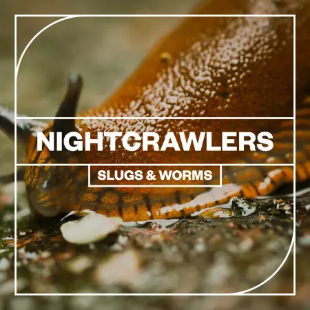 Blastwave FX Nightcrawlers: Slugs & Worms WAV