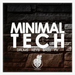 Dirty Music Minimal Tech WAV