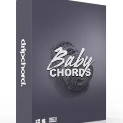 Dripchord Baby Chords [WAV MIDI]