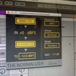 HoRNet TheNormalizer