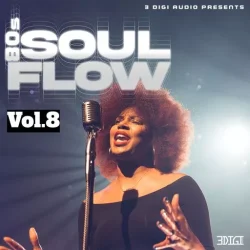 Innovative Samples 80's Soul Flow Vol.8 WAV