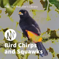 PSE: The Producer's Library Bird Chirps & Squawks WAV