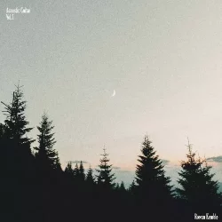 WAVS Rowan Kemble Acoustic Guitar Vol.1