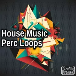 AudioFriend House Music Perc Loops WAV