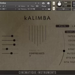 Cinematique Instruments Kalimba for HALion