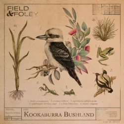 Field & Foley Kookaburra Bushland WAV