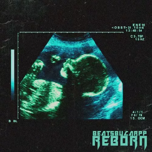 beatsbycarpp Reborn WAV