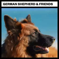 Big Room Sound German Shepard & Friends WAV