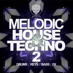 Dirty Music Melodic House & Techno Vol.2 WAV