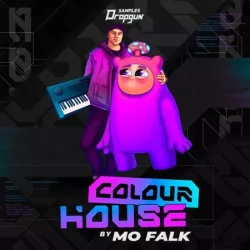 Dropgun Samples Colour House by Mo Falk WAV