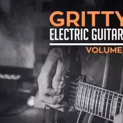 New Beard Media Gritty Electric Guitars Vol.1 WAV