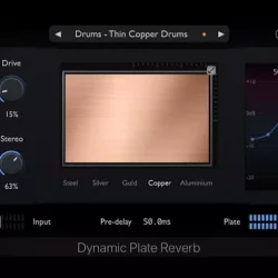 Physical Audio Dynamic Plate Reverb