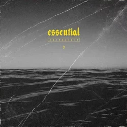 SAMUDAI Essential Bundle WAV