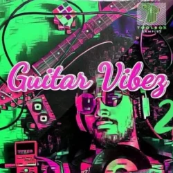 Toolbox Samples Guitar Vibes Vol.2 WAV