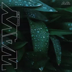 A_G_ Wavy Sample Pack Vol_8 WAV