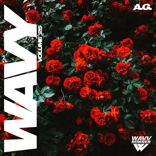 A_G_ Wavy Vol_25 WAV (1)