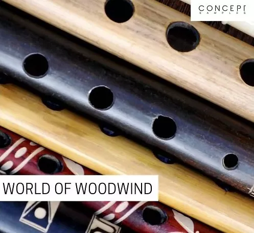 Concept Samples World Of Woodwind WAV