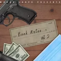 Dynasty Loops Bank Notes 2 WAV