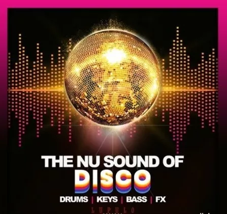 Dirty Music The Nu Sound Of Disco WAV