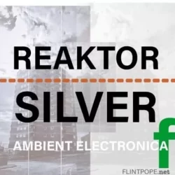 Flintpope REAKTOR SILVER WAV