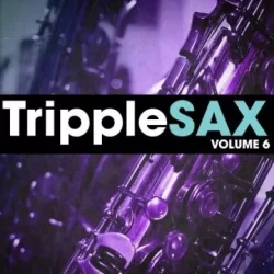 New Beard Media Tripplesax Vol.6 WAV