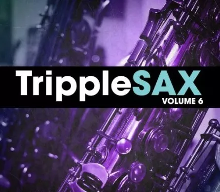 New Beard Media Tripplesax Vol.6 WAV