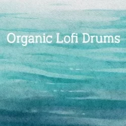 New Loops Organic Lofi Drums WAV