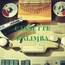 PastToFutureReverbs Cassette Kalimba KONTAKT WAV